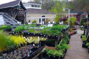 Green Fields Nursery & Landscaping Company